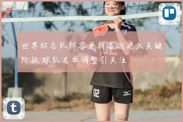世界杯各队阵容更新备战进入关键阶段 球队名单调整引关注