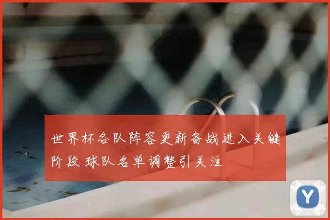 世界杯各队阵容更新备战进入关键阶段 球队名单调整引关注